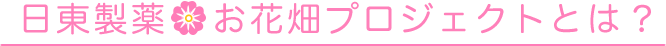 日東製薬お花畑プロジェクトとは？